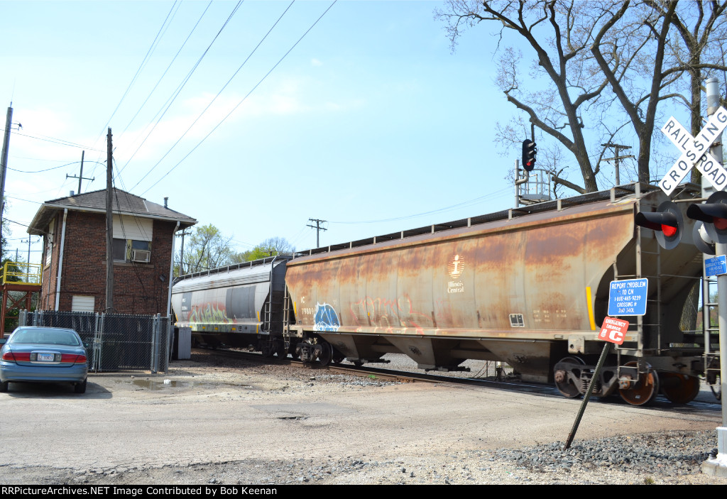 IC 798096